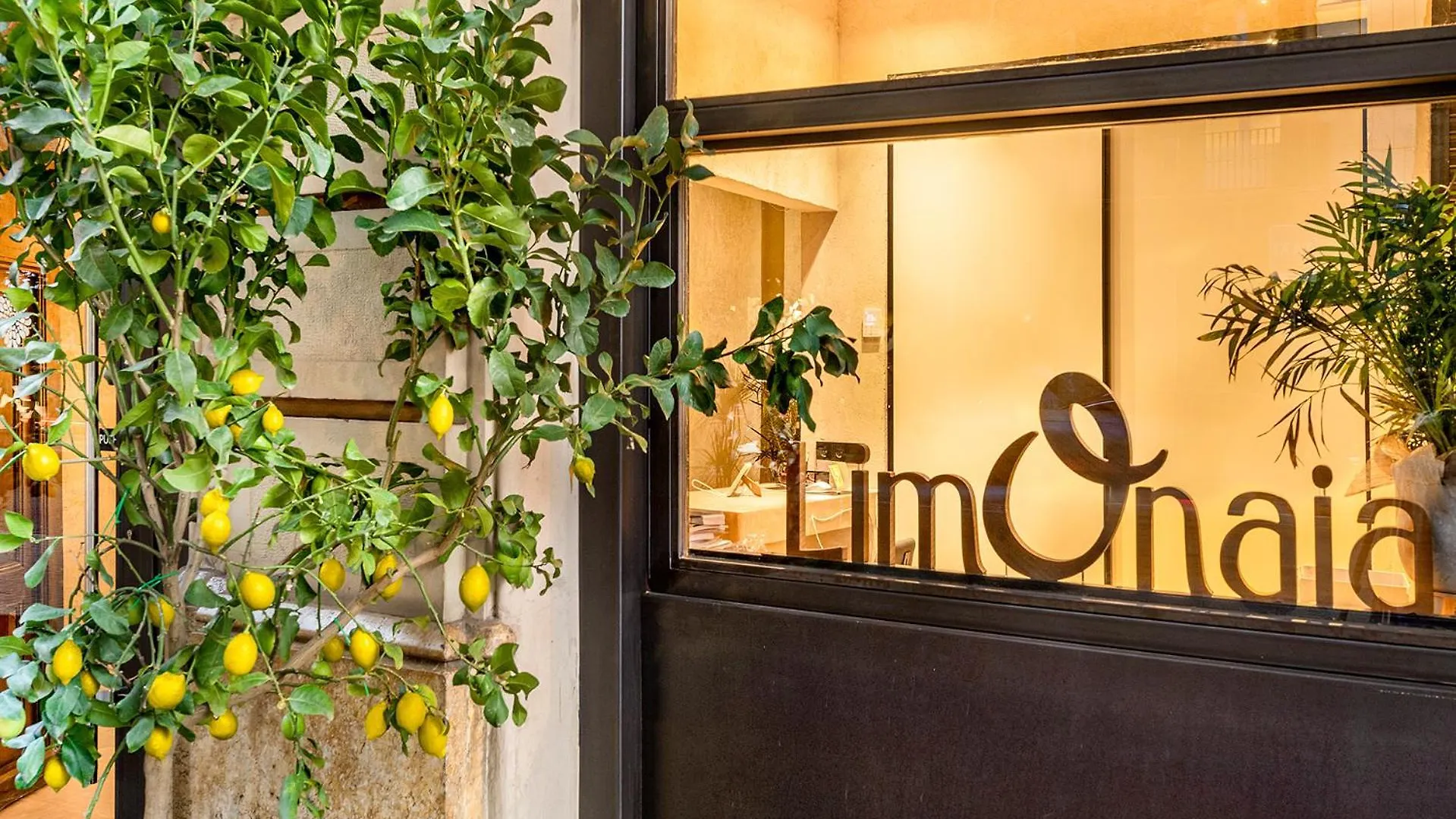 Limonaia Hotel Barcelona 3*,  Spain