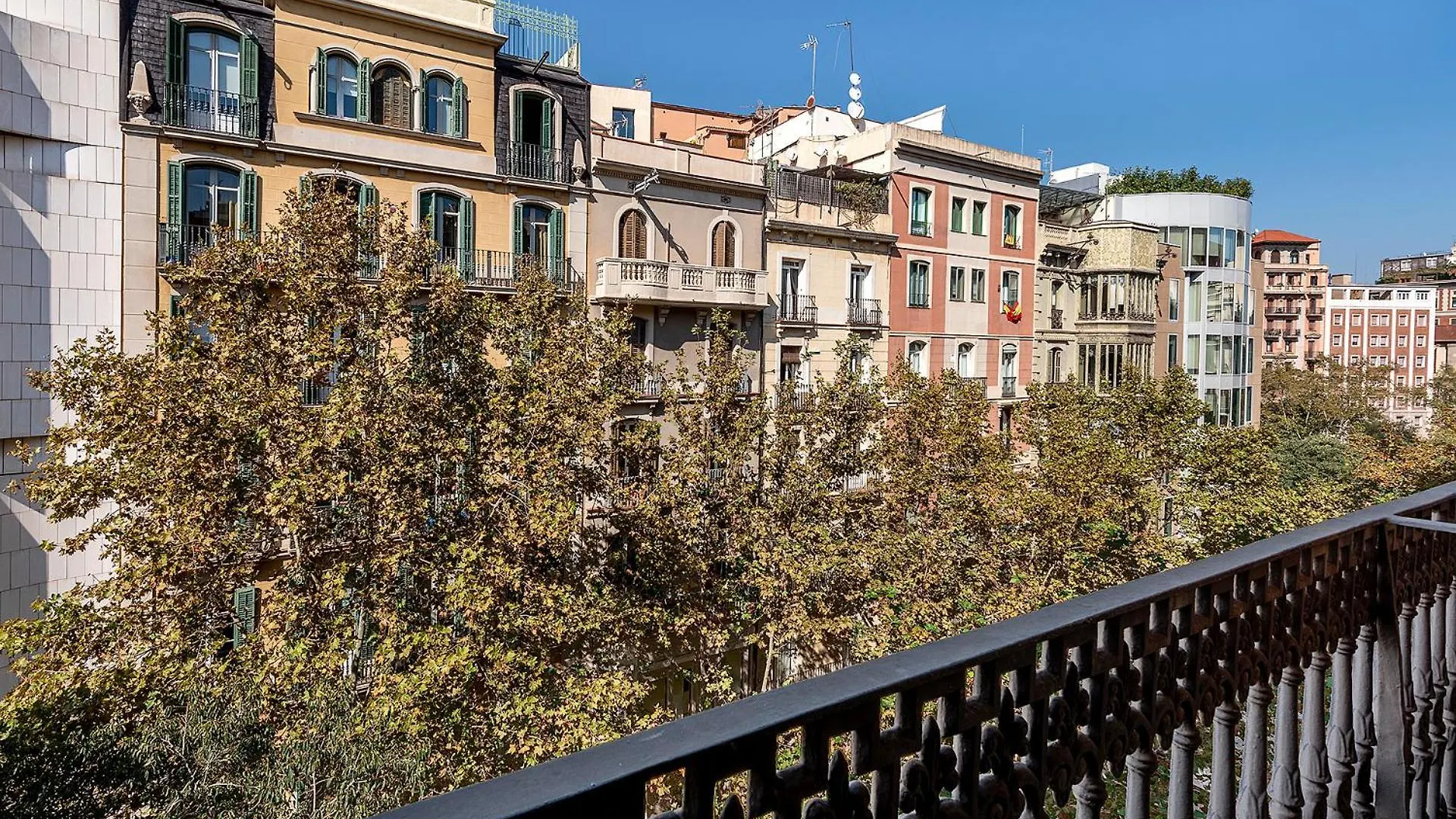 Limonaia Hotel Barcelona